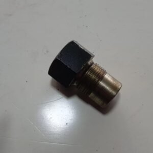 BUJÃO
