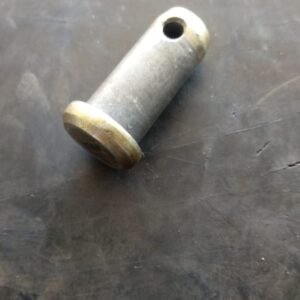 PINO DO GARFO