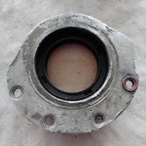 CARCACA 65X