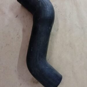 MANGUEIRA