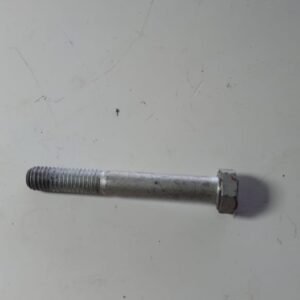 PARAFUSO FLAGELADO