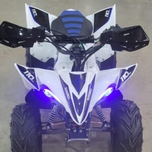 MINI QUADRICICLO RHINO 110CC