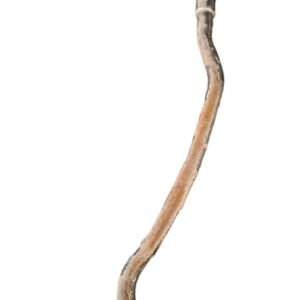TUBO