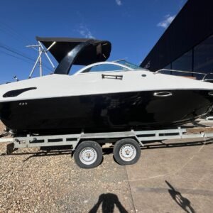 LANCHA ARTHMARINE 255