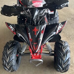 MINI QUADRICICLO RHINO 110